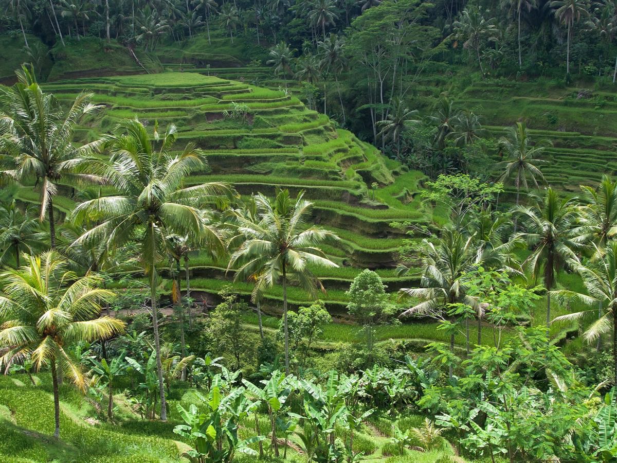 Bali, Indonesia — Kwashly partner laundry city
